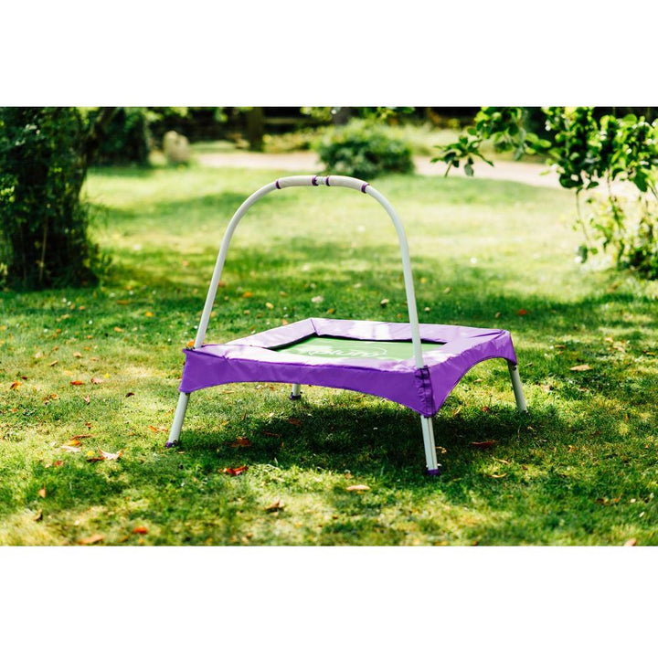 Plum Junior bouncer with Handle