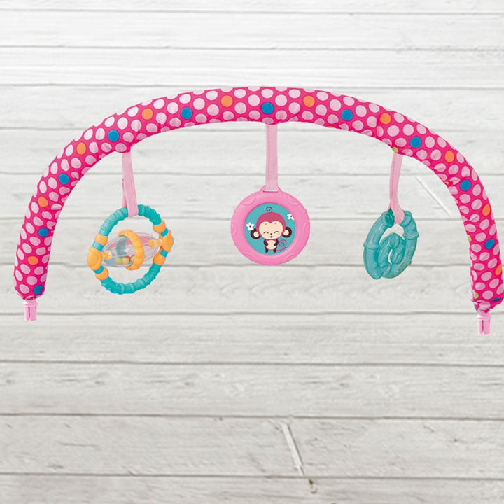 Mastela Music Vibrations Bouncer, Pink/Blue