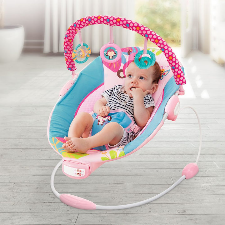 Mastela Music Vibrations Bouncer, Pink/Blue