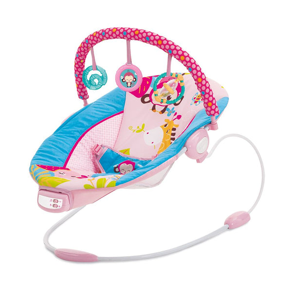 Mastela Music Vibrations Bouncer, Pink/Blue