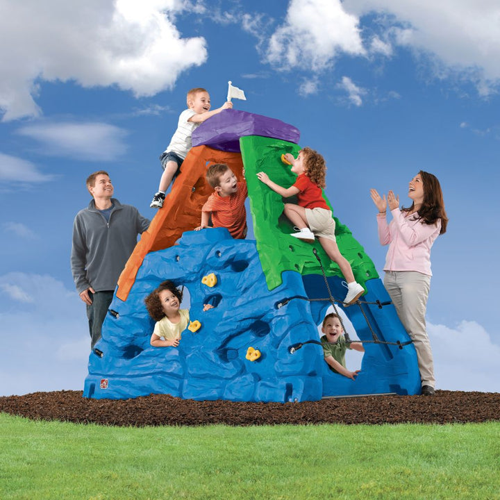 Outdoor Climbing Playset