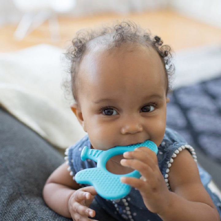 Dr. Brown's Flexees Friends Elephant Teether