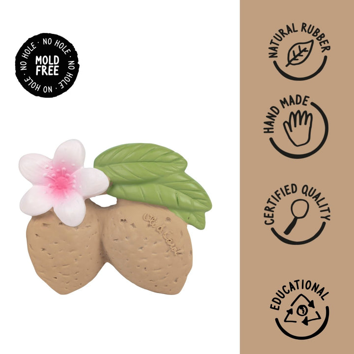 Oli and Carol Aly The Almond Natural Rubber Teether