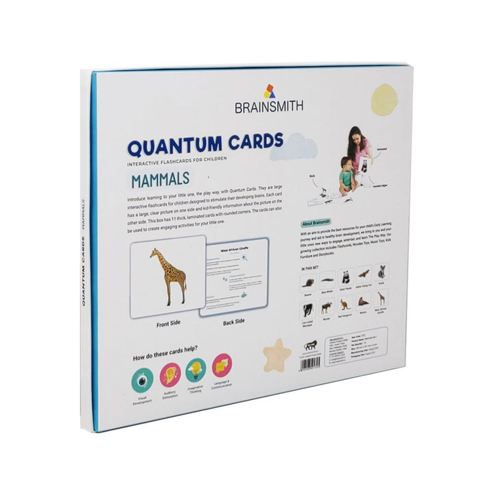 BRAINSMITH Quantum Cards, Mammals