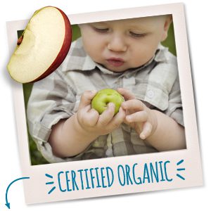 Gerber Organic Puffs Apple - 42g