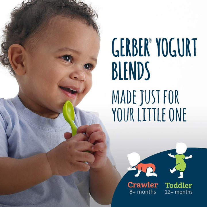 Gerber Yogurt Blends Snack