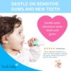 Buy Brush-Baby BabySonic Electric Toothbrush, 0-3 years - Teal & White online with Free Shipping at Baby Amore India, Babyamore.in